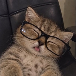 Telegram profile photo for π¦π’ππππ π πππ‘ | πππ ππ§ πππ¦
