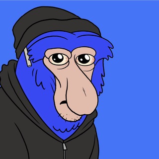 Telegram profile photo for SNORTwtf Portal