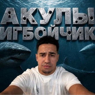 Telegram profile photo for 🦈АКУЛЫ БИГБОЙЧИКА🦈