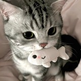 Telegram profile photo for ๐๐ซ๐ซ๐ ๐