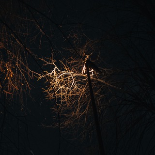Telegram profile photo for jötunn