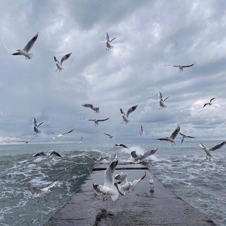 Telegram profile photo for قُوتٌ لِقلبك