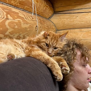 Telegram profile photo for гучибандана