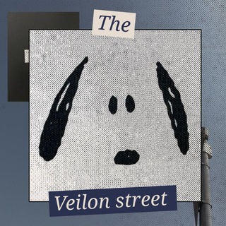 Telegram profile photo for VEILON STREET