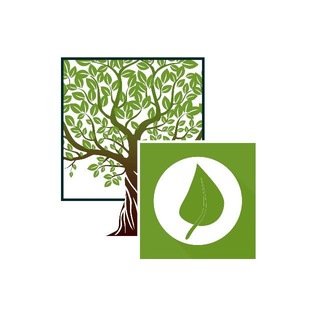 Telegram profile photo for Боровский питомник 🌿🌿🌿