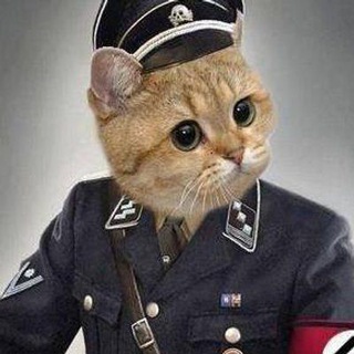 Telegram profile photo for Картавий Рейх: Reborn. Chapter 2 - Ostfront. | ✙