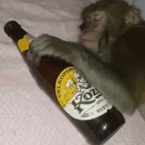 Telegram profile photo for Переходник
