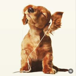 Telegram profile photo for еlоqуинс