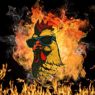 Telegram profile photo for دم طلا