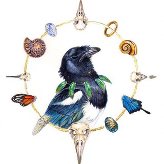 Telegram profile photo for 𓅃 Бердвотчинг Самарская область