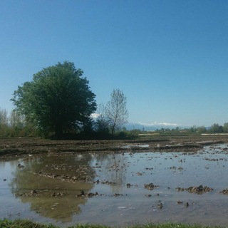 Telegram profile photo for دهیاری روستای جیرسرا