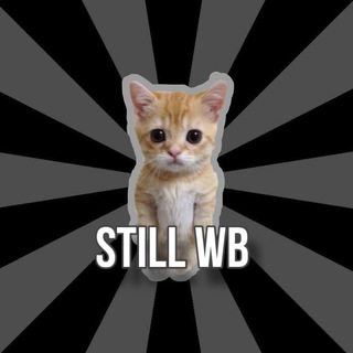 Telegram profile photo for Still wb