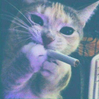 Telegram profile photo for •|^-^نُقـطہ سـ ـرخَــط♡|•