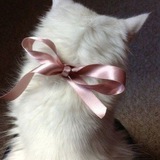 Telegram profile photo for Отзывы