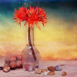 Telegram profile photo for خواطر دينية