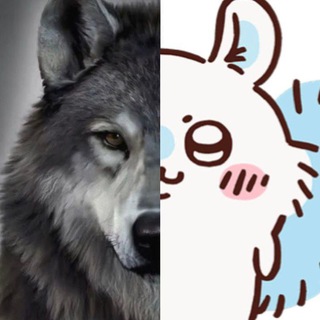 Telegram profile photo for Дисоррел 🌧️