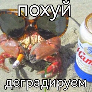 Telegram profile photo for Подкроватный монстр ( фан клуб Карлос Дейз/ Винцет Бенитоз)