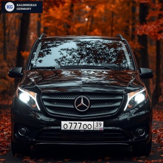 Telegram profile photo for 🇷🇺Трансфер Калининград — Германия 🇩🇪