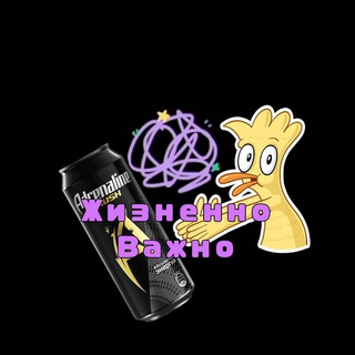 Telegram profile photo for Жизненно важно