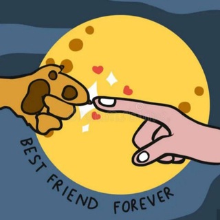 Telegram profile photo for АнтропоDOGия