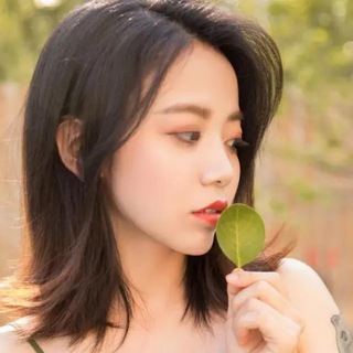 Telegram profile photo for 随风音乐库