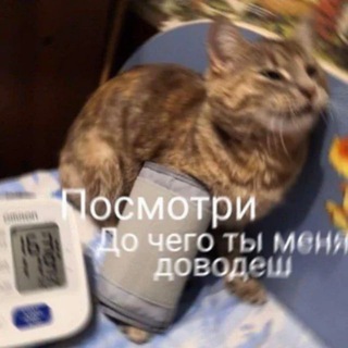 Telegram profile photo for твиттер би лайк: