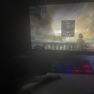 Telegram profile photo for hoi4 confession