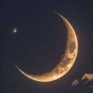 Telegram profile photo for ماه زمردی🌙