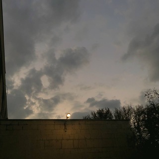 Telegram profile photo for دلآرام