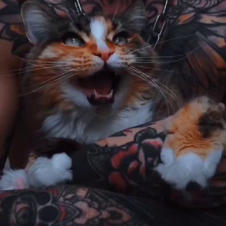 Telegram profile photo for ohh, tattoo