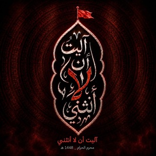 Telegram profile photo for يوميات معلم جامعي