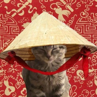 Telegram profile photo for Wushu🪭