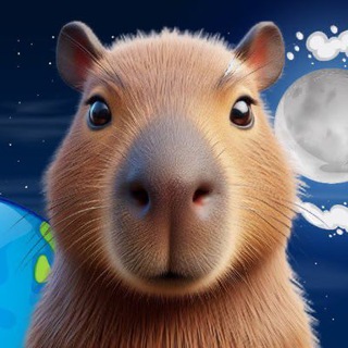 Telegram profile photo for $SHRIMP Paste ENTRY
