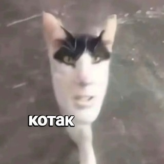 Telegram profile photo for Канал Банана