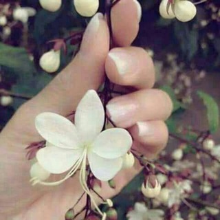 Telegram profile photo for كن بلسماً