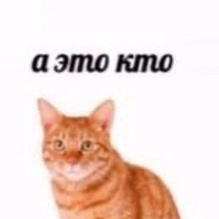 Telegram profile photo for брынза