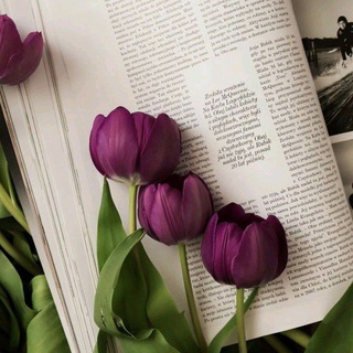 Telegram profile photo for هدوء_Quiet💜'
