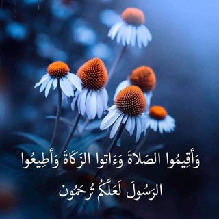 Telegram profile photo for ❀❥مقتطِفاات ٰۦ. دينيـّہ ❀❥.