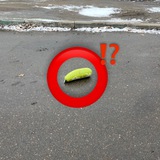 Telegram profile photo for овик делоет for cd cmmnty