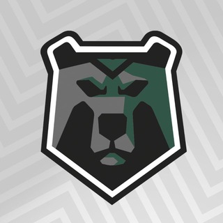 Telegram profile photo for Футзальный клуб «Черные Медведи – Политех»
