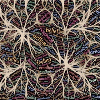 Telegram profile photo for Rund um Psychologie Trauma Liebe Beziehung NLP & Co.
