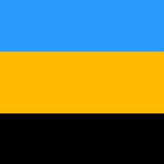 Telegram profile photo for Белгородская Народная Республика