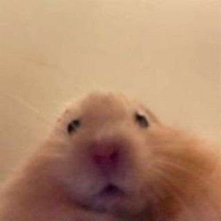 Telegram profile photo for Cute as Fuck