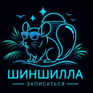 Telegram profile photo for Шиншилла | Запись на мойку