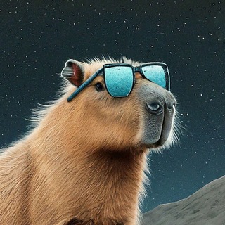 Telegram profile photo for LumiChill - $CHILL to $100m