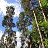 Telegram profile photo for Мое Кратово