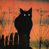 Telegram profile photo for of nature, man, and feels