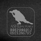 Telegram profile photo for ASHU PICTURES