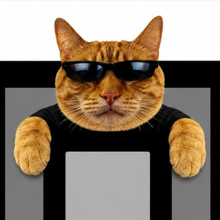 Telegram profile photo for alekshakk