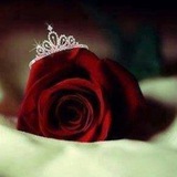 Telegram profile photo for تبادلات&